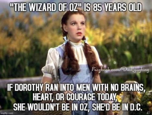 M Oz