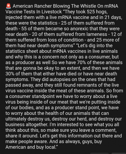 Screenshot_20240405-022043~2