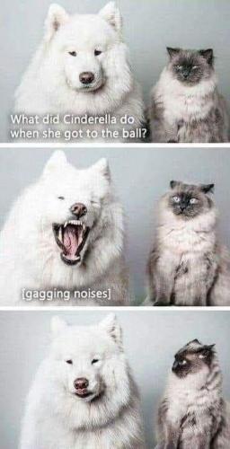 1000014431