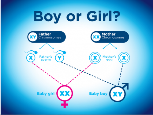 boy-girl-520414413