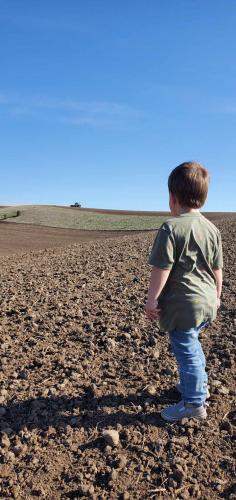 whitty watching cody farm