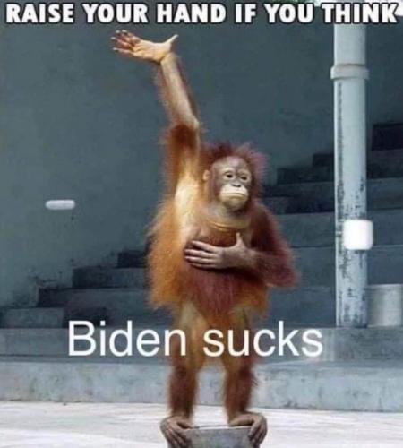 X Biden sucks