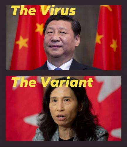 corona virus - china covid - 19 - jinping xi the virus and tamtilitam tam the variant