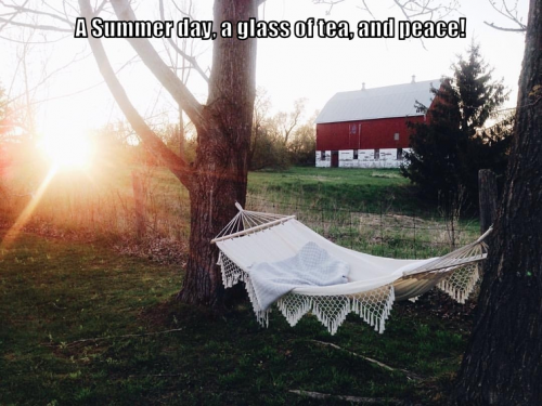 summerday