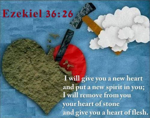 IMG_20240409_081828_831