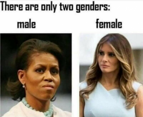 2 gender