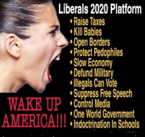 Anti American traitors 18