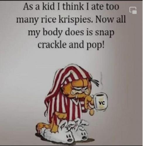 rice krispies