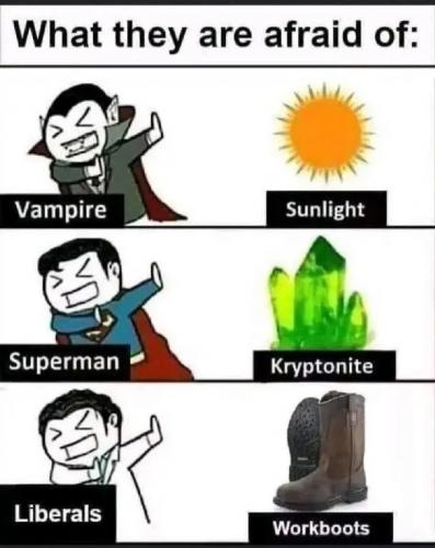 1000021719