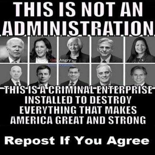 M criminal enterprise