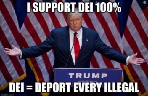 M deport every illegal