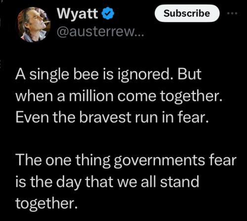 1e8b1c60969b05a5 (1)