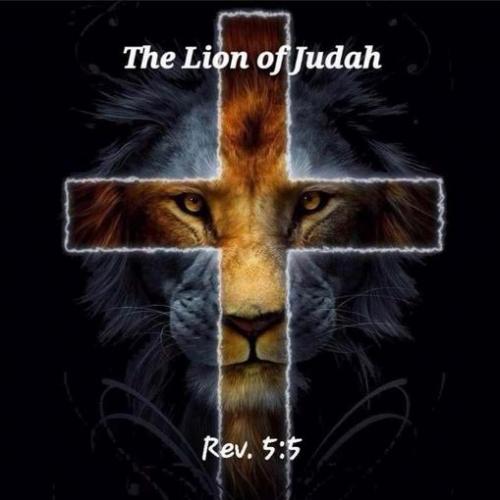 Lion of Juda2