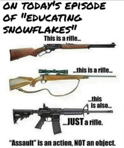 M educating snowflakes