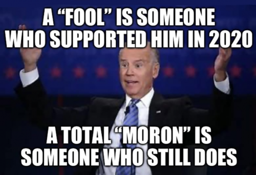 M fool moron