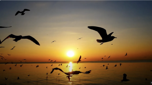 Screen Shot 2024-04-03 at 11.24.34 AM