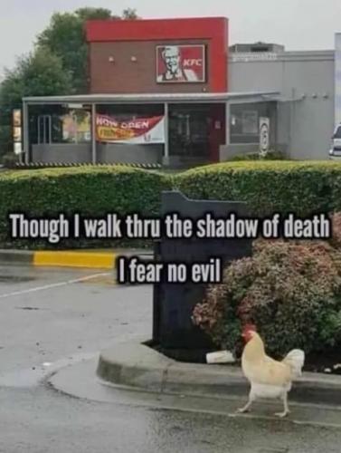 aaa
