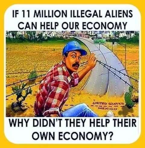 illegal alien - exactly why - could it be there is no south america but just a bowl of feces
