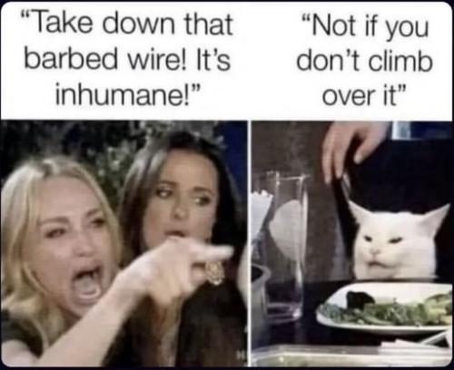 8b73cc566201f778c703a2628d82d678_768x0