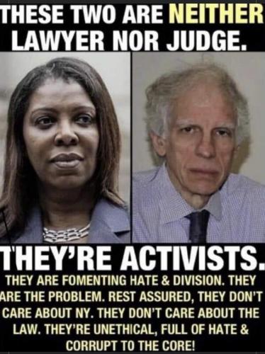 neither lawyer or judge