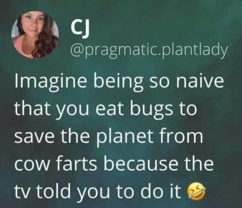 USA so naive