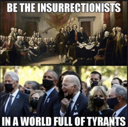 insurrectionist