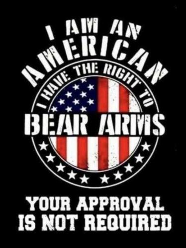 USA I am an American