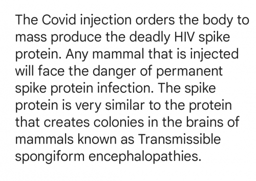 Screenshot_20240403-002126~2