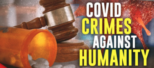 covid crimes 6