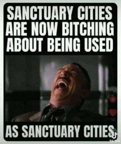 M sanctuary cities