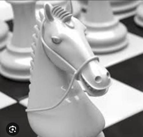 Screenshot_20240427-080551_Gallery