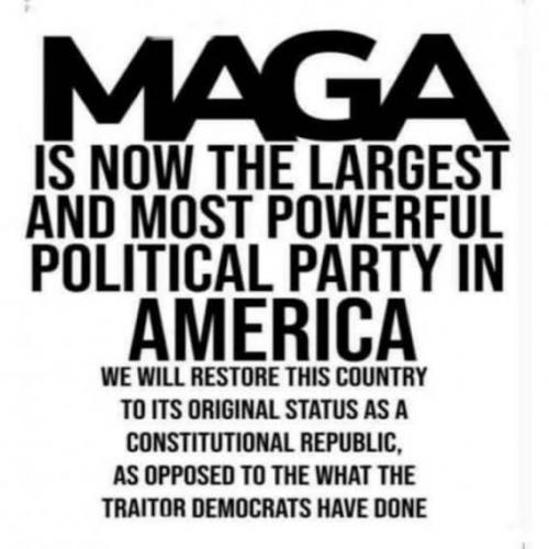 wwg1wga 31