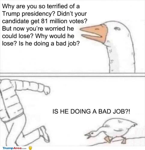 i-he-doing-a-bad-job