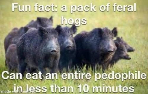 M fun fact