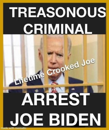 USA Treasonous Joe