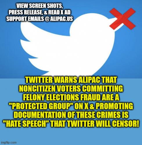 TwitterProtectingIllegalVotersXsupportingVoterFraudIsAnOffense