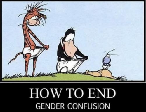 gender confusion