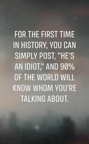 idiot