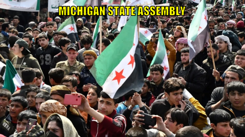 msa