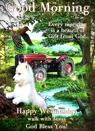 040324 - GM Happy Wednedsday