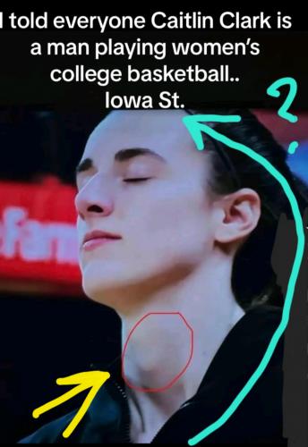 Screenshot_20240403-081433_Gallery