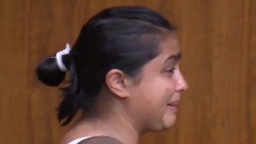 Riddhi Patel faces 18 felony counts for threatening city council member by is licensed under Twitter