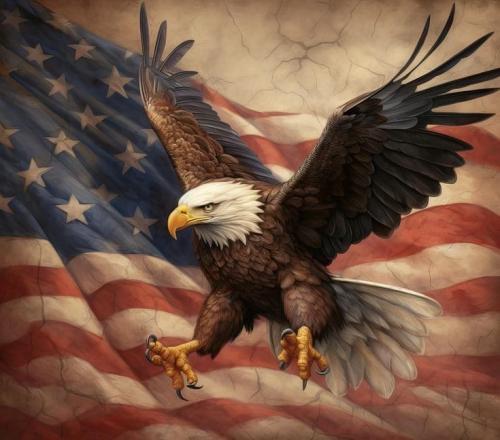 433180330_433598689350586_5763601516889222708_n