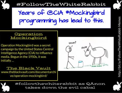 CIA_Mockingbird_Programming