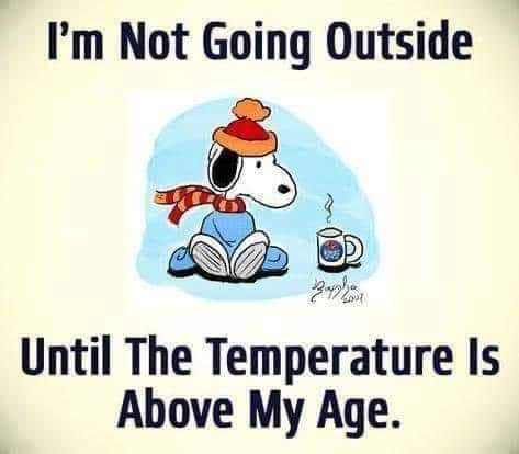 Snoopy, Peanuts -- Not Outside until Temperature is Above my Age