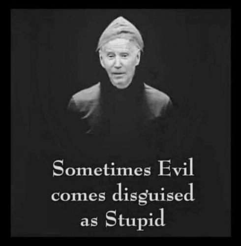 evil stupid