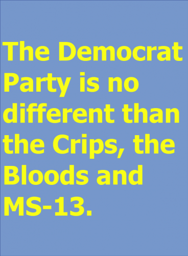dem party same