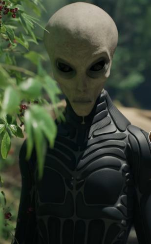 Screenshot_20240407-082446_Gallery