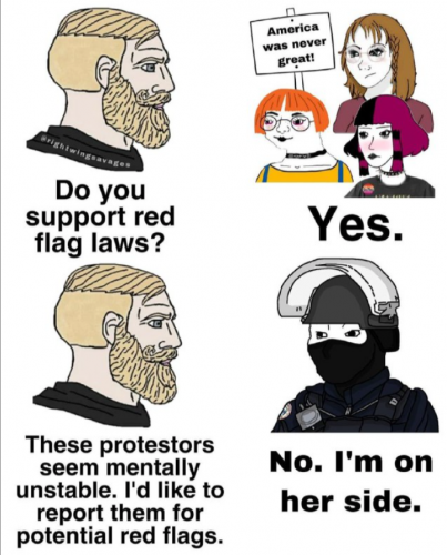 red flag laws