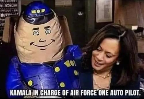 1000020377